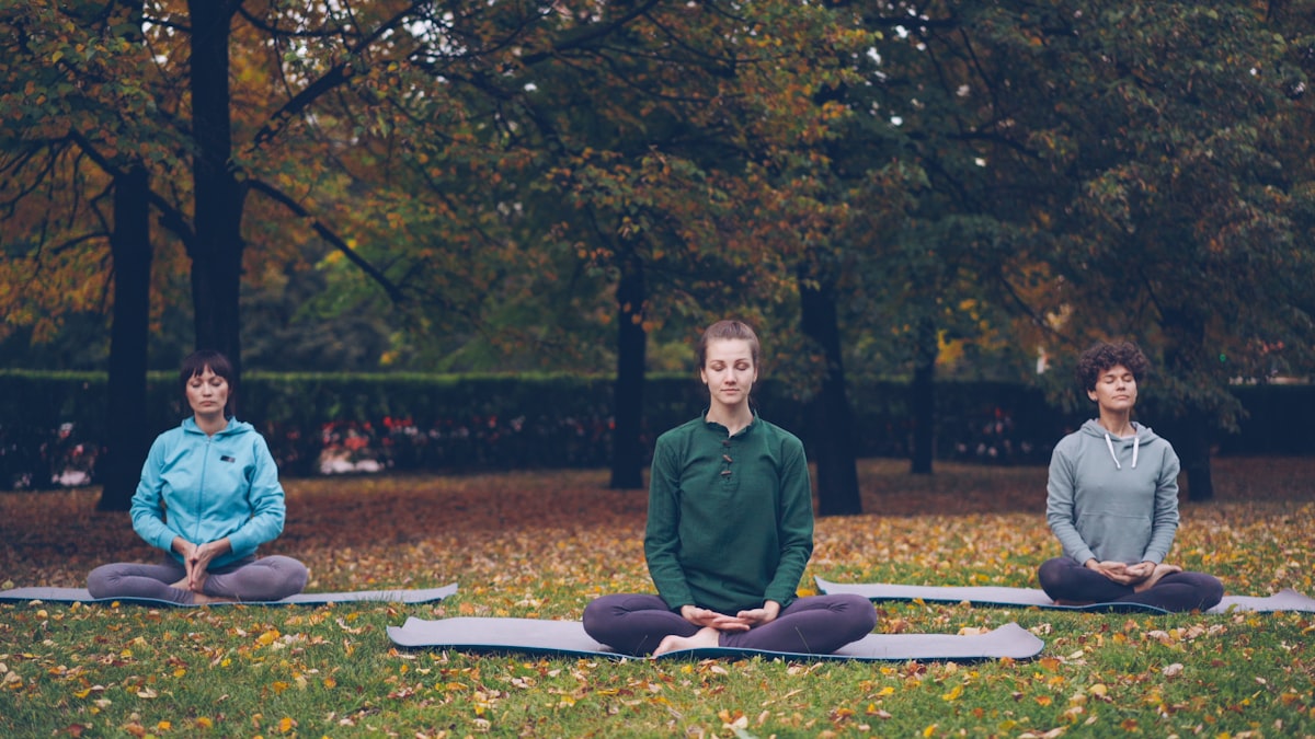 Vinyasa Flow